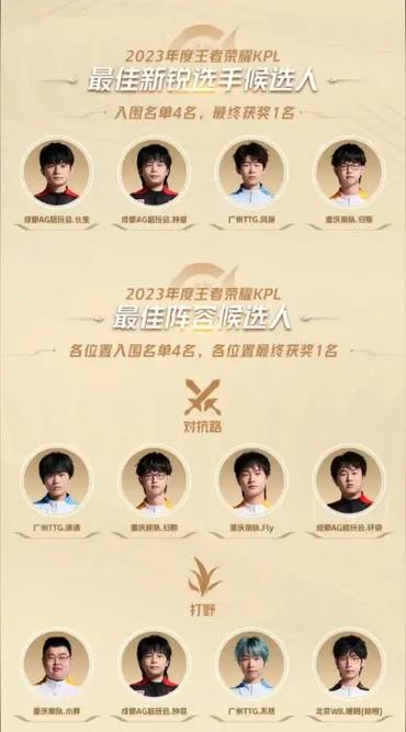kpl所有职业选手名字游戏截图