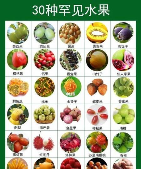 中国所有水果名称大全
