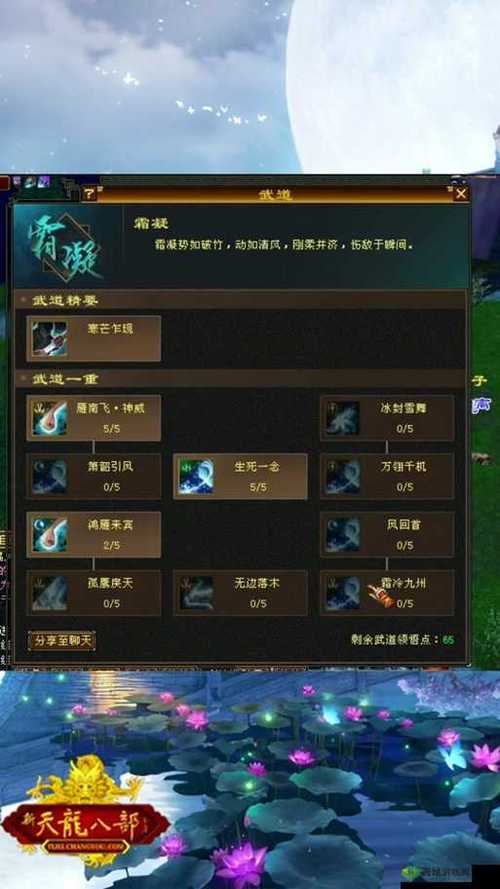 天龙八部天山加点分配游戏截图