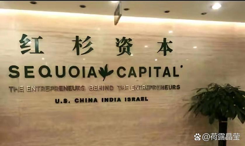 红杉资本投资抖音赚了多少