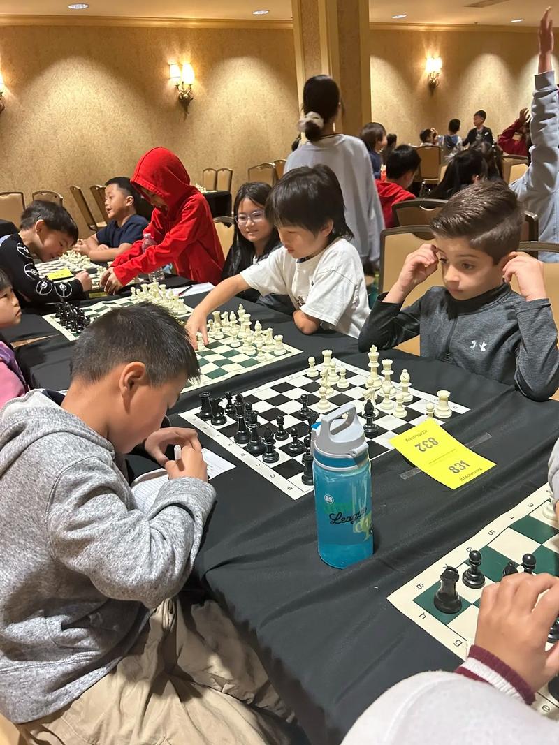 国际象棋玩的人多吗截图