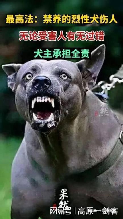 让狗舔隐身部位会不会得狂犬病