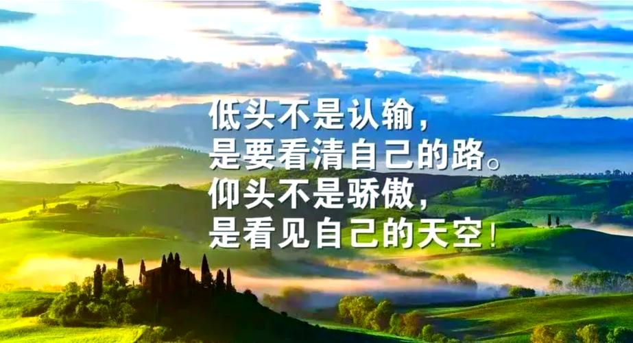 人生感悟语录100句游戏截图