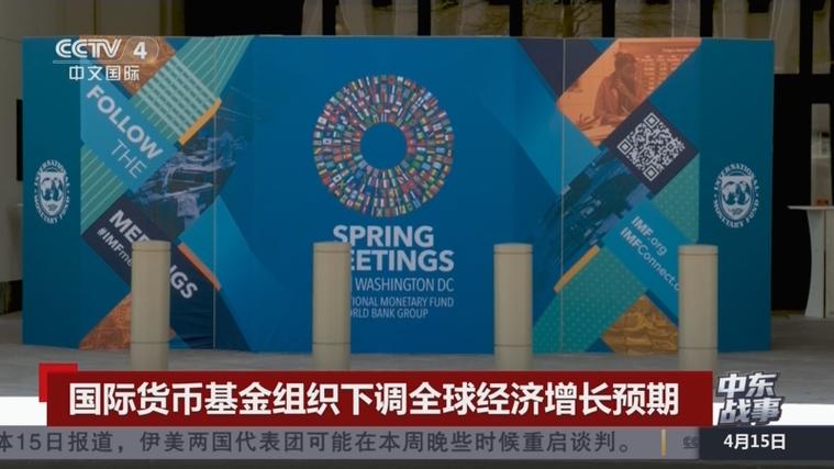 imf主席缩略图