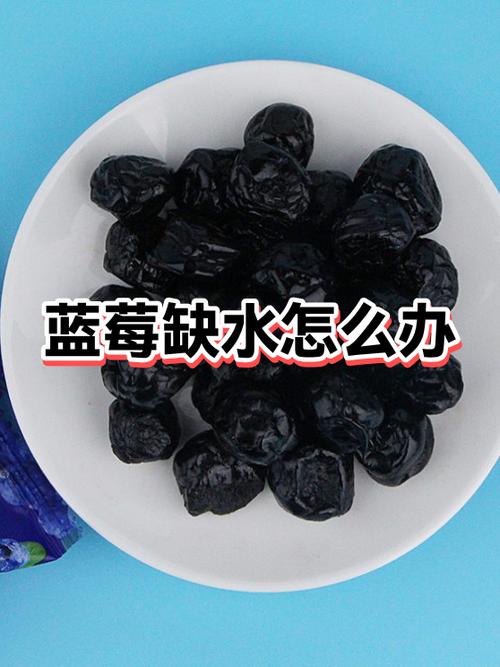 下面干巴巴小房子缺水了怎么办截图