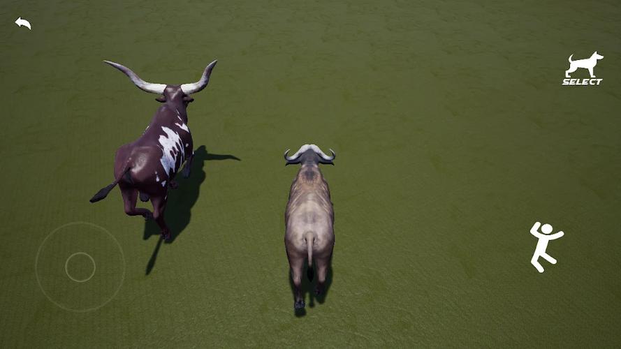 水牛模拟器截图