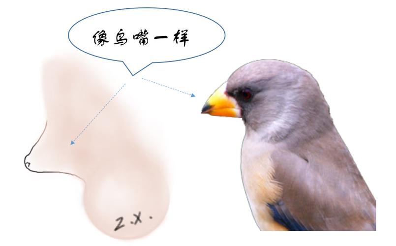 小红书怎么指定人不可见截图