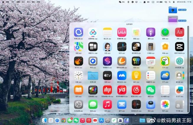 iphone程序坞怎么设置