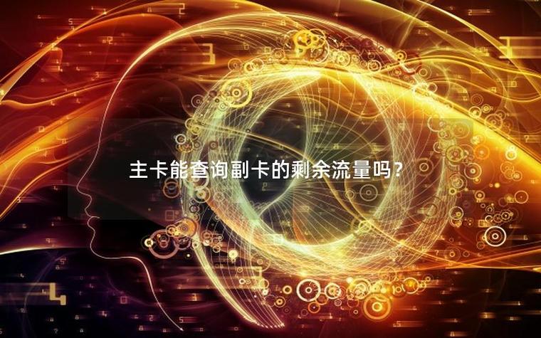 主卡能查副卡的流量缩略图
