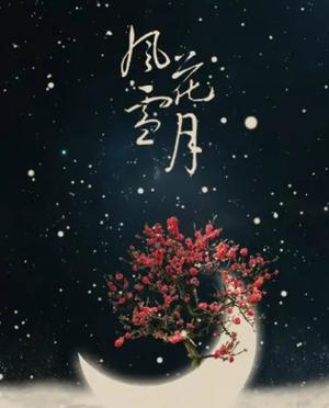 《风花雪月》原唱