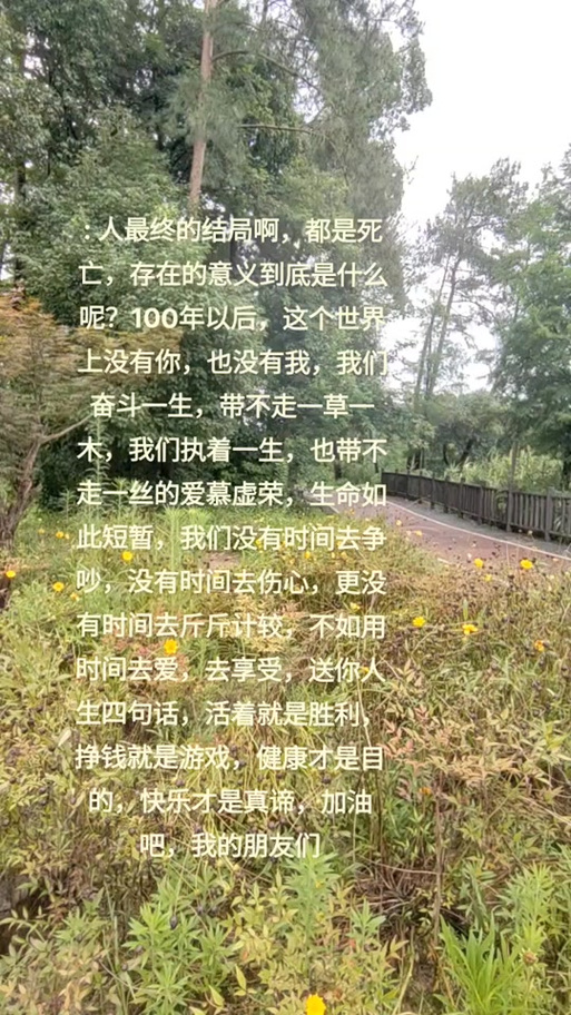 经典语录伤感人生感悟游戏截图