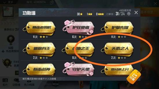 和平精英冠名是什么意思
