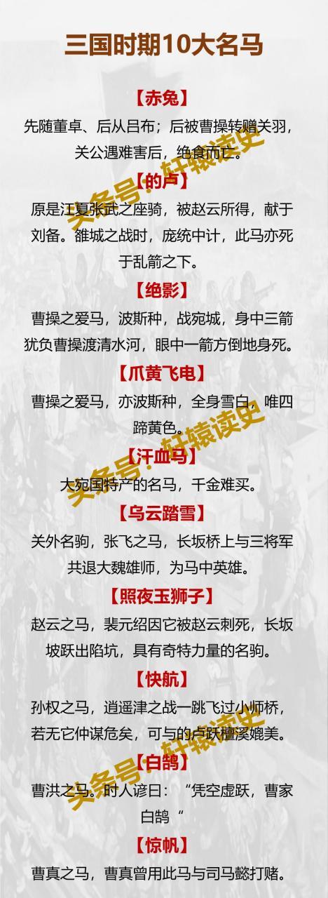 中国名马排名第一截图