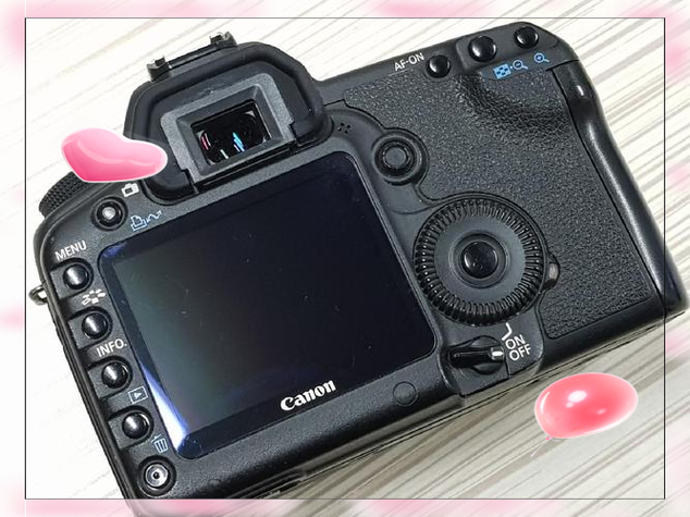 佳能5d2和6d哪个好