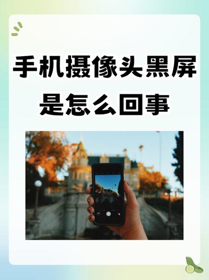 摄像头显示黑屏是什么原因