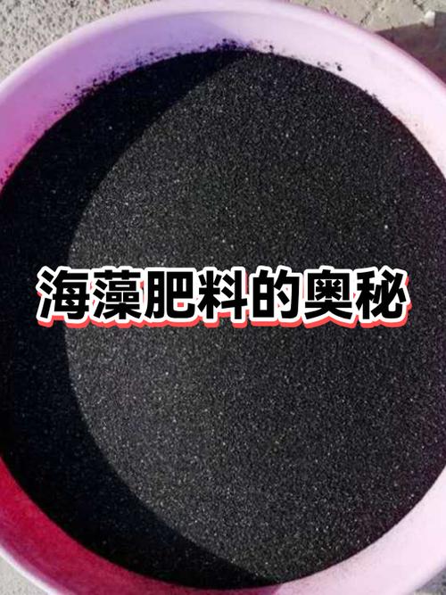 海藻精肥料最好的品牌图标
