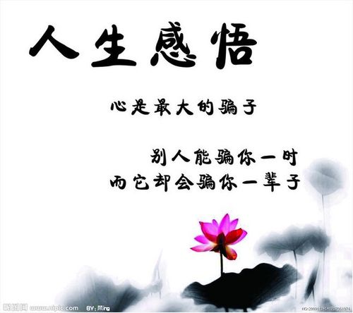 人生感言人生感悟游戏截图