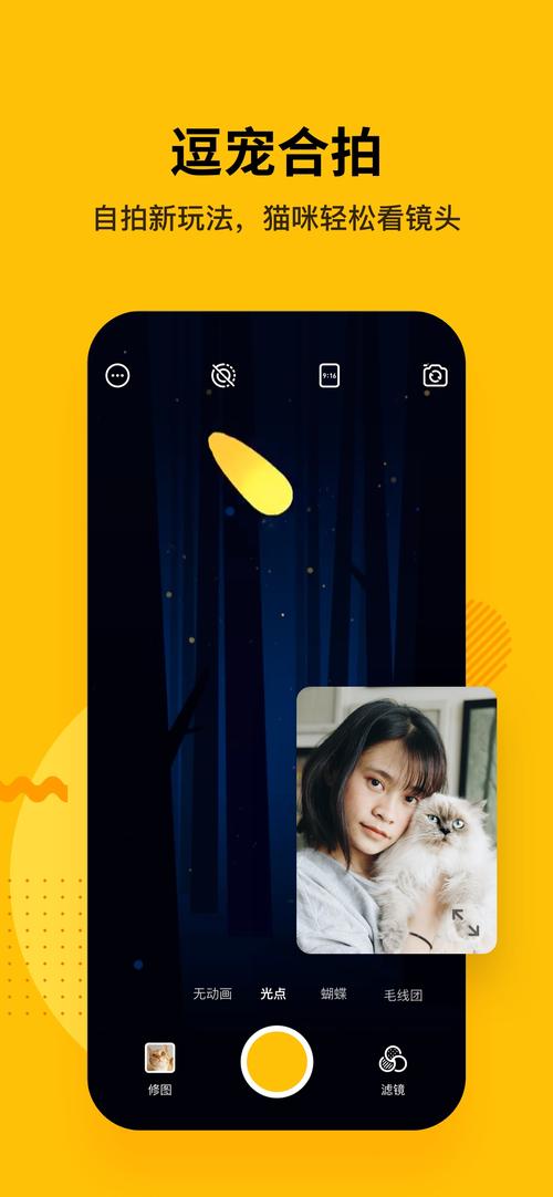 猫咪APP清爽版图标