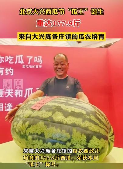 西瓜爱消除红包版最新版本缩略图