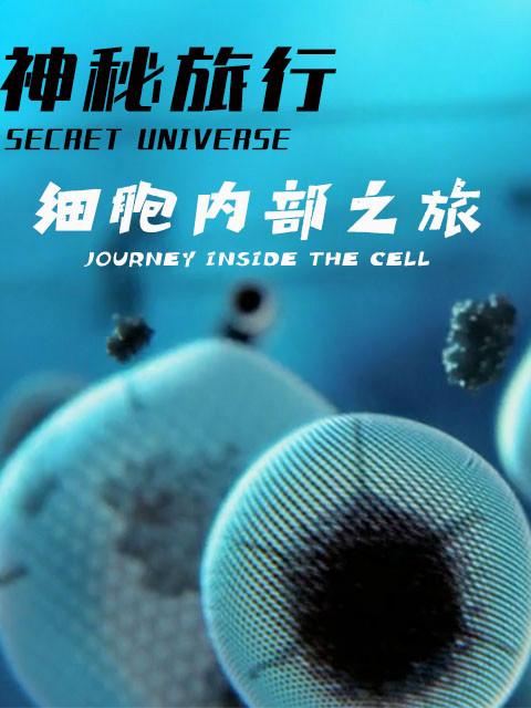 干细胞采集视频截图