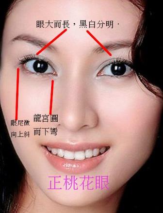 应采儿面相分析