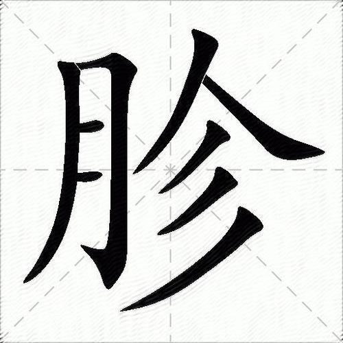 胗是人的哪个部位