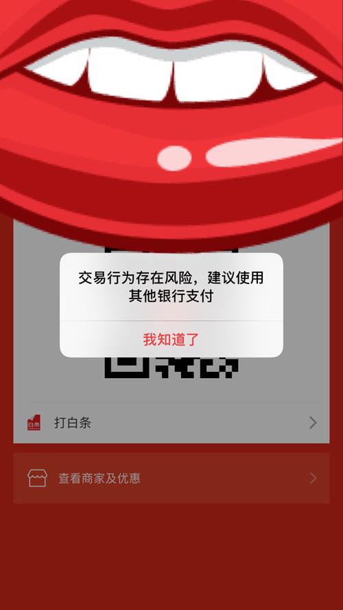 京东白条支付有什么风险吗图标