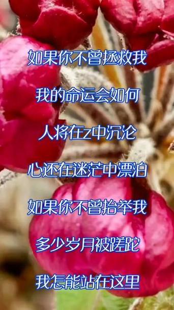 人生如果没有你歌曲原唱歌词歌谱