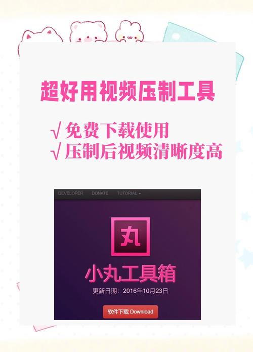 小丸工具箱压制音频截图