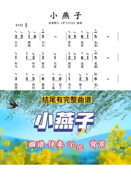 小燕子这首歌的音乐简谱图标