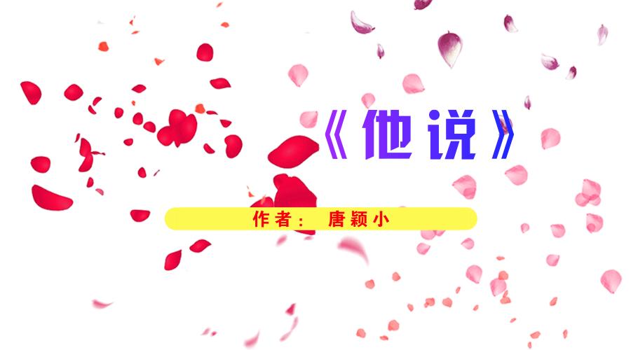 寂寞寂寞就好 小说缩略图