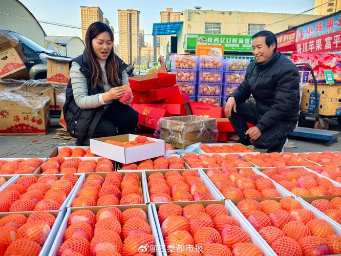 西安水果批发市场游戏截图