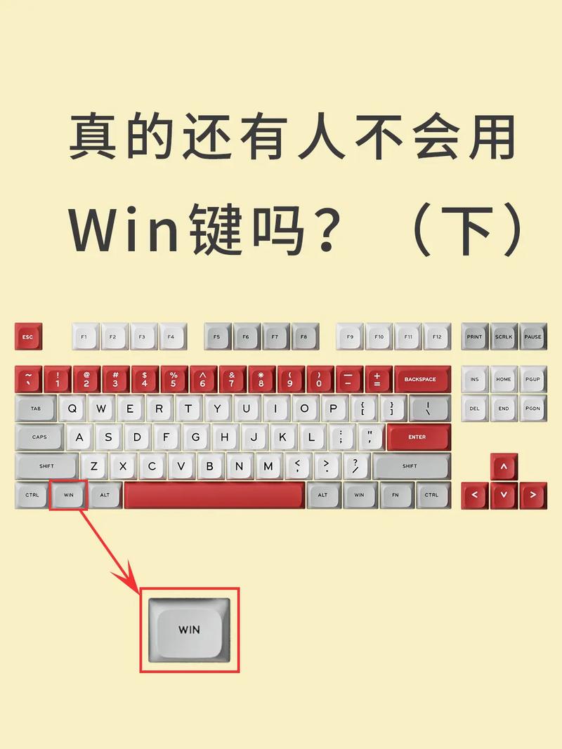 荣耀win侧面按键有什么用截图