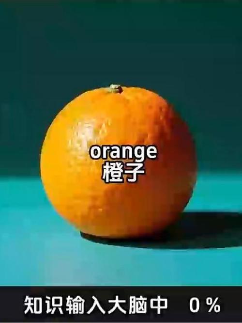 我想吃一个橙子用英语怎么说截图