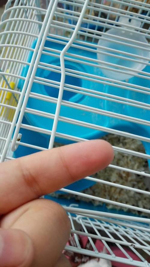 被金丝熊咬了得狂犬病的案例缩略图