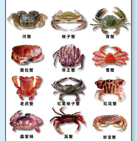 最贵蟹十大排名截图