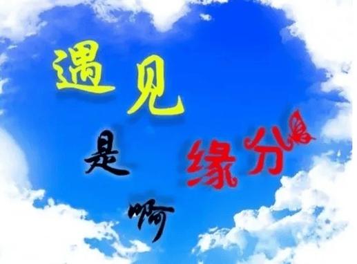 相遇即是缘分,相识便是幸运截图