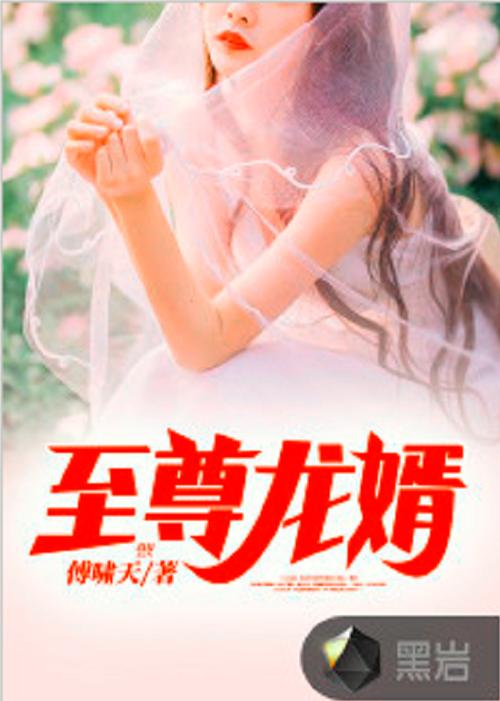 至尊龙婿免费阅读缩略图