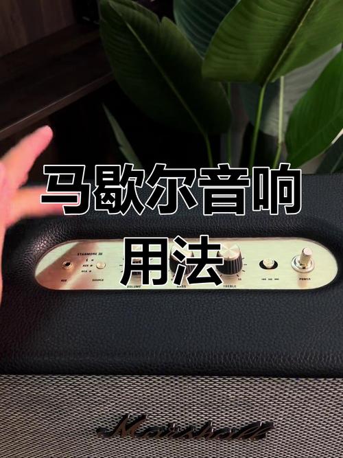 马歇尔如何连接蓝牙缩略图