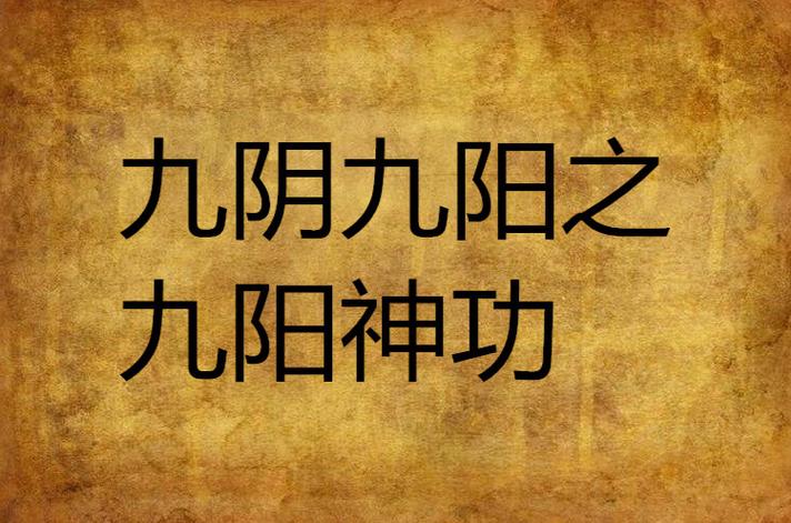 九阴九阳神功免费阅读缩略图