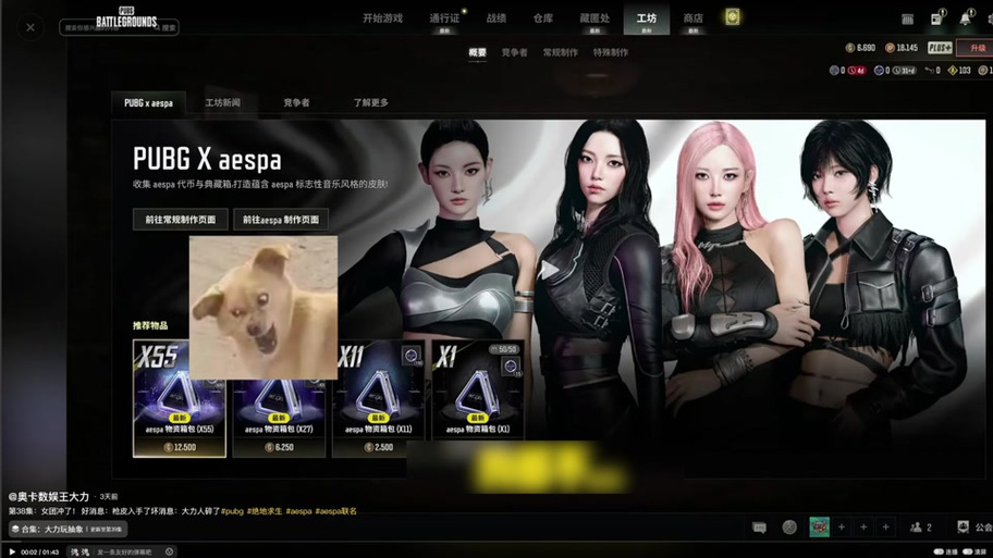 pubg国际服体验服下载