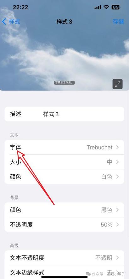 苹果手机如何设置字体样式截图