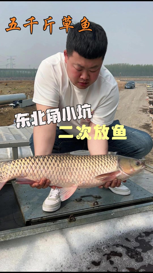 钓到鱼发朋友圈的唯美句子截图
