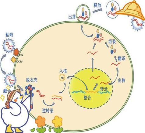 病毒感染是怎么引起的图标