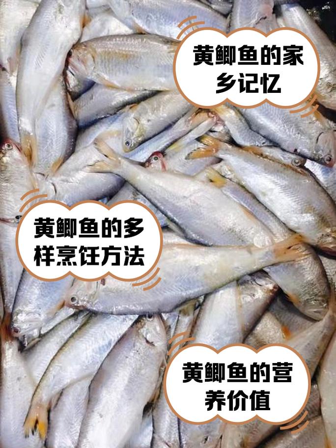 大黄鲫一般怎么用缩略图