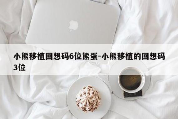 小熊移植的解压码截图