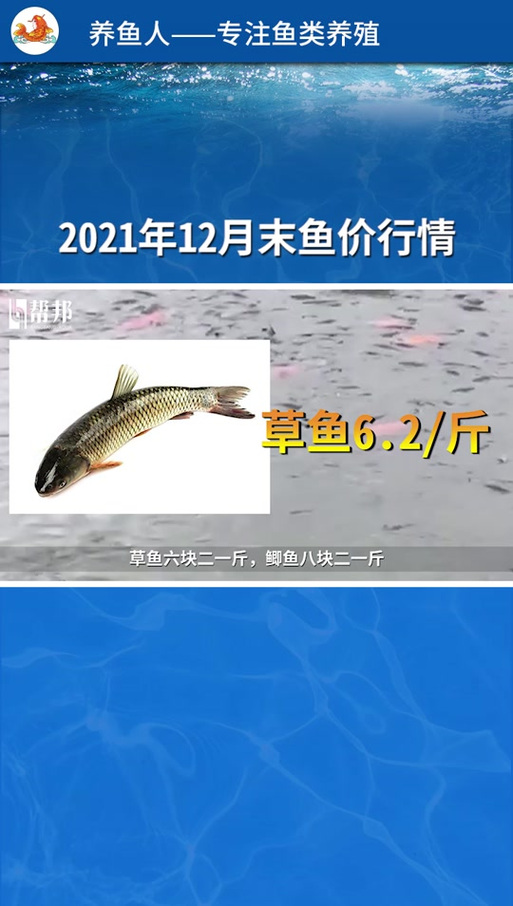 今年养鱼行情可以吗截图
