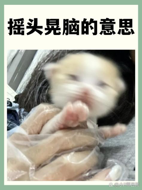 你晃我是什么意思截图