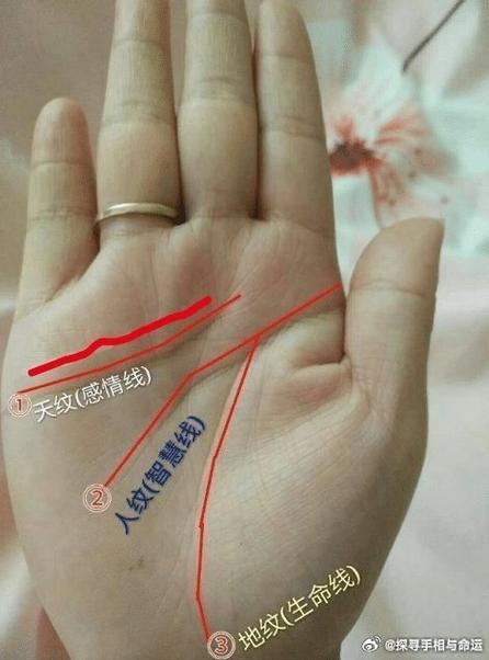 感情线有一段是双线