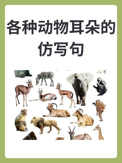 仿写句子我想把耳朵缩略图